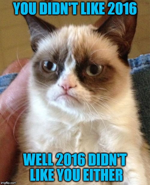 Grumpy Cat Meme | YOU DIDN'T LIKE 2016; WELL 2016 DIDN'T LIKE YOU EITHER | image tagged in memes,grumpy cat | made w/ Imgflip meme maker