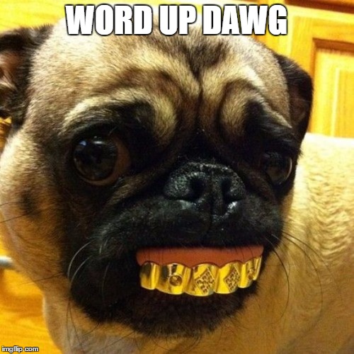 WORD UP DAWG | made w/ Imgflip meme maker