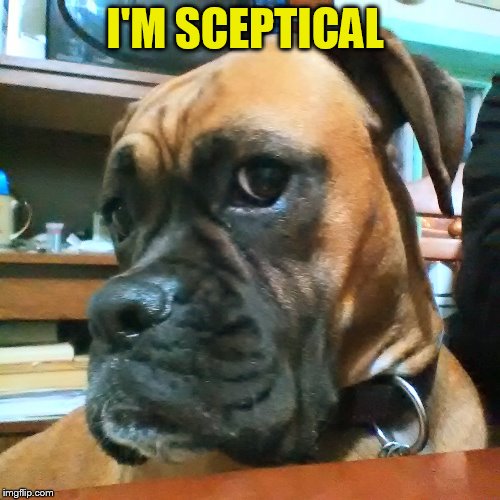 I'M SCEPTICAL | made w/ Imgflip meme maker