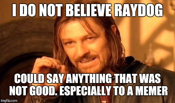 One Does Not Simply Meme | I DO NOT BELIEVE RAYDOG COULD SAY ANYTHING THAT WAS NOT GOOD. ESPECIALLY TO A MEMER | image tagged in memes,one does not simply | made w/ Imgflip meme maker