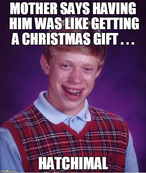 Hi, my name is Brian.  How may I disappoint you today? | MOTHER SAYS HAVING HIM WAS LIKE GETTING A CHRISTMAS GIFT . . . HATCHIMAL | image tagged in memes,bad luck brian | made w/ Imgflip meme maker