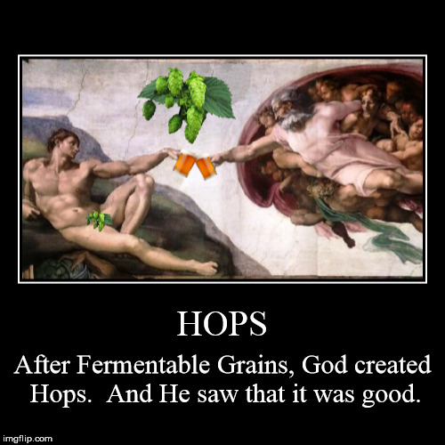 Hops | image tagged in funny,demotivationals,hops,beer,god,book of genesis | made w/ Imgflip demotivational maker