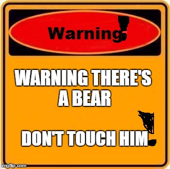 Warning Sign | WARNING THERE'S A BEAR; DON'T TOUCH HIM | image tagged in memes,warning sign | made w/ Imgflip meme maker