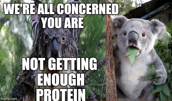 WE'RE ALL CONCERNED YOU ARE NOT GETTING ENOUGH PROTEIN | made w/ Imgflip meme maker