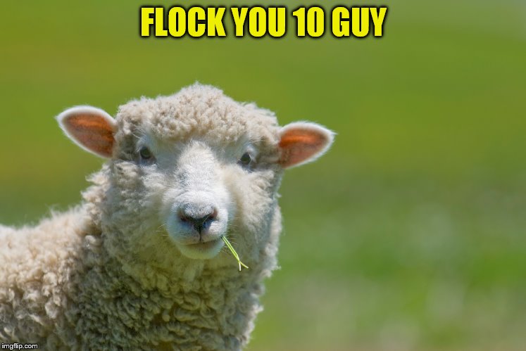 FLOCK YOU 10 GUY | made w/ Imgflip meme maker
