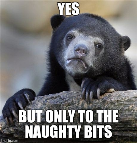 Confession Bear Meme | YES BUT ONLY TO THE NAUGHTY BITS | image tagged in memes,confession bear | made w/ Imgflip meme maker