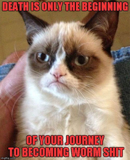 Death is only the beginning... | DEATH IS ONLY THE BEGINNING; OF YOUR JOURNEY TO BECOMING WORM SHIT | image tagged in memes,grumpy cat,funny,cats,animals | made w/ Imgflip meme maker