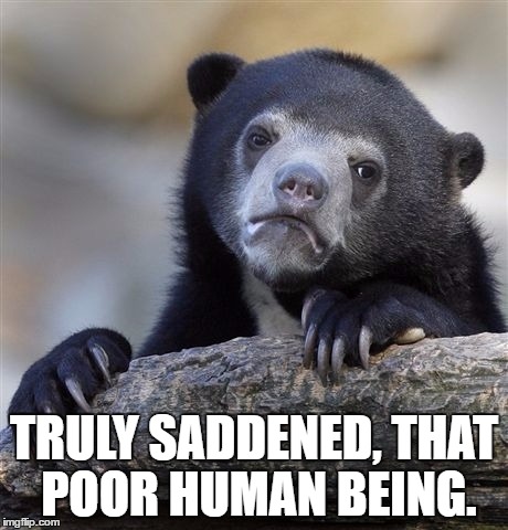 Confession Bear Meme | TRULY SADDENED, THAT POOR HUMAN BEING. | image tagged in memes,confession bear | made w/ Imgflip meme maker