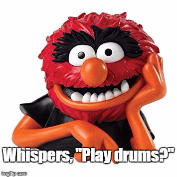 Animal 
'play drums?" | Whispers, "Play drums?" | image tagged in animal meme | made w/ Imgflip meme maker