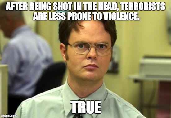Dwight Schrute Meme | AFTER BEING SHOT IN THE HEAD, TERRORISTS ARE LESS PRONE TO VIOLENCE. TRUE | image tagged in memes,dwight schrute | made w/ Imgflip meme maker