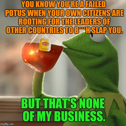 From the User "goodnightmare", a Foxnews.com Commenter. | YOU KNOW YOU'RE A FAILED POTUS WHEN YOUR OWN CITIZENS ARE ROOTING FOR THE LEADERS OF OTHER COUNTRIES TO B***H SLAP YOU. BUT THAT'S NONE OF MY BUSINESS. | image tagged in memes,but thats none of my business,kermit the frog,barack obama,vladimir putin | made w/ Imgflip meme maker