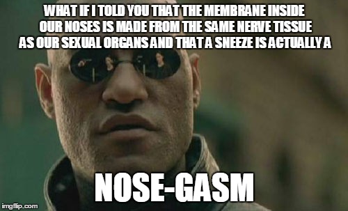 Matrix Morpheus Meme | WHAT IF I TOLD YOU THAT THE MEMBRANE INSIDE OUR NOSES IS MADE FROM THE SAME NERVE TISSUE AS OUR SEXUAL ORGANS AND THAT A SNEEZE IS ACTUALLY  | image tagged in memes,matrix morpheus | made w/ Imgflip meme maker