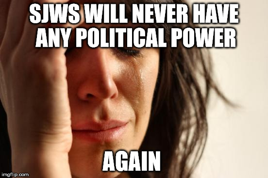 First World Problems Meme | SJWS WILL NEVER HAVE ANY POLITICAL POWER AGAIN | image tagged in memes,first world problems | made w/ Imgflip meme maker