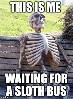 Waiting Skeleton | THIS IS ME; WAITING FOR A SLOTH BUS | image tagged in memes,waiting skeleton | made w/ Imgflip meme maker