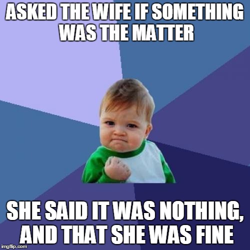 So I guess everything's OK! | ASKED THE WIFE IF SOMETHING WAS THE MATTER; SHE SAID IT WAS NOTHING, AND THAT SHE WAS FINE | image tagged in memes,success kid | made w/ Imgflip meme maker