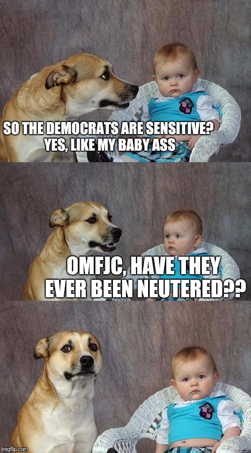 Dad Joke Dog | SO THE DEMOCRATS ARE SENSITIVE? 
YES, LIKE MY BABY ASS; OMFJC, HAVE THEY EVER BEEN NEUTERED?? | image tagged in memes,dad joke dog | made w/ Imgflip meme maker