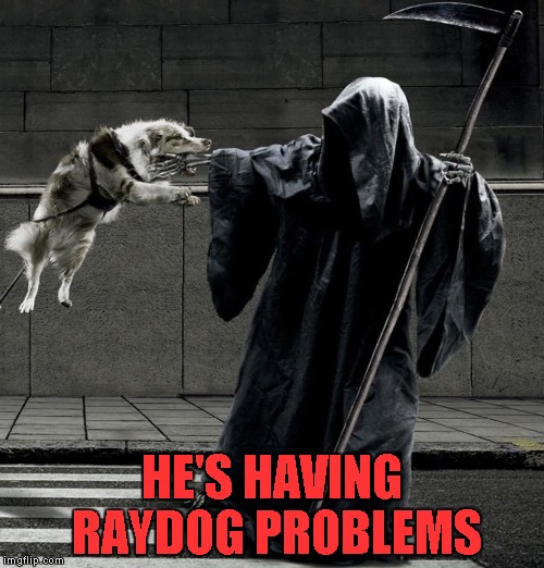 HE'S HAVING RAYDOG PROBLEMS | made w/ Imgflip meme maker