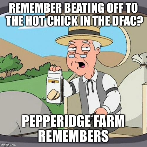 Pepperidge Farm Remembers Meme | REMEMBER BEATING OFF TO THE HOT CHICK IN THE DFAC? PEPPERIDGE FARM REMEMBERS | image tagged in memes,pepperidge farm remembers | made w/ Imgflip meme maker