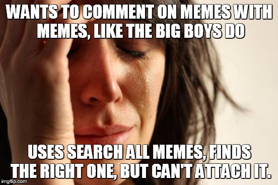 First World Problems | WANTS TO COMMENT ON MEMES WITH MEMES, LIKE THE BIG BOYS DO; USES SEARCH ALL MEMES, FINDS THE RIGHT ONE, BUT CAN'T ATTACH IT. | image tagged in memes,first world problems | made w/ Imgflip meme maker