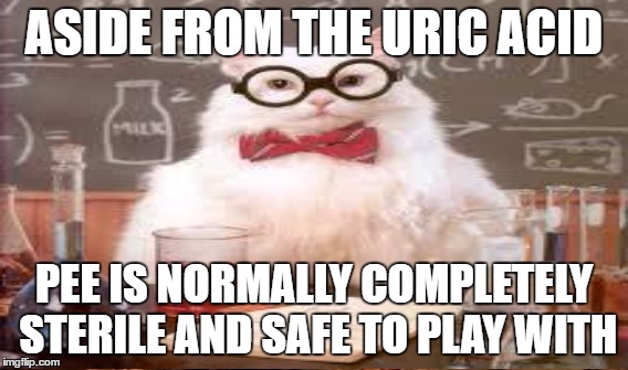 ASIDE FROM THE URIC ACID PEE IS NORMALLY COMPLETELY STERILE AND SAFE TO PLAY WITH | made w/ Imgflip meme maker