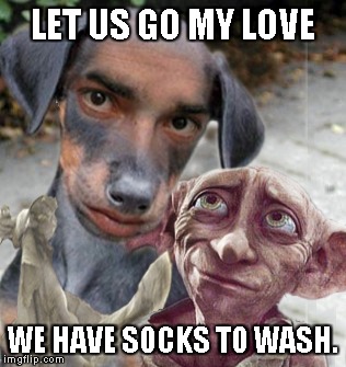 LET US GO MY LOVE WE HAVE SOCKS TO WASH. | image tagged in funny meme,human dog,dobby,memes | made w/ Imgflip meme maker