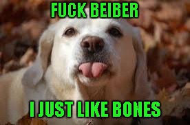F**K BEIBER I JUST LIKE BONES | made w/ Imgflip meme maker