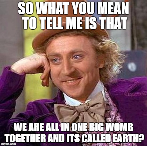 Creepy Condescending Wonka Meme | SO WHAT YOU MEAN TO TELL ME IS THAT; WE ARE ALL IN ONE BIG WOMB TOGETHER AND ITS CALLED EARTH? | image tagged in memes,creepy condescending wonka | made w/ Imgflip meme maker