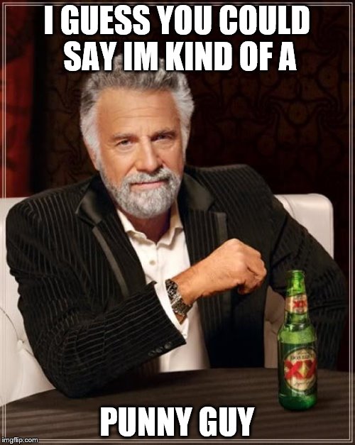 The Most Interesting Man In The World Meme | I GUESS YOU COULD SAY IM KIND OF A PUNNY GUY | image tagged in memes,the most interesting man in the world | made w/ Imgflip meme maker