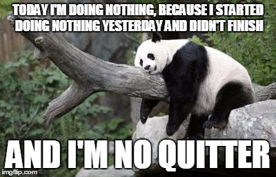 God put me here to accomplish certain things...at the rate I'm going, I'll never die. | TODAY I'M DOING NOTHING, BECAUSE I STARTED DOING NOTHING YESTERDAY AND DIDN'T FINISH; AND I'M NO QUITTER | image tagged in lazy panda,persistance,doing nothing | made w/ Imgflip meme maker