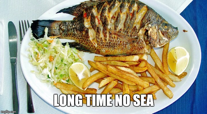 LONG TIME NO SEA | image tagged in memes,fish | made w/ Imgflip meme maker