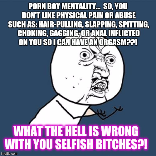 Y U No Meme | PORN BOY MENTALITY... 
SO, YOU DON'T LIKE PHYSICAL PAIN OR ABUSE SUCH AS: HAIR-PULLING, SLAPPING, SPITTING, CHOKING, GAGGING, OR ANAL INFLICTED ON YOU SO I CAN HAVE AN ORGASM??! WHAT THE HELL IS WRONG WITH YOU SELFISH BITCHES?! | image tagged in memes,y u no | made w/ Imgflip meme maker