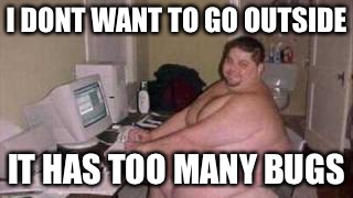 Why programmers are getting fat | I DONT WANT TO GO OUTSIDE; IT HAS TOO MANY BUGS | image tagged in fat guy,computer,programmers,memes | made w/ Imgflip meme maker