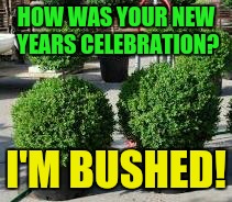 For those still hung over | HOW WAS YOUR NEW YEARS CELEBRATION? I'M BUSHED! | image tagged in new years,celebration,hangover,x x everywhere | made w/ Imgflip meme maker