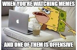 SpongeGar Computer | WHEN YOU'RE WATCHING MEMES; AND ONE OF THEM IS OFFENSIVE | image tagged in spongegar computer | made w/ Imgflip meme maker
