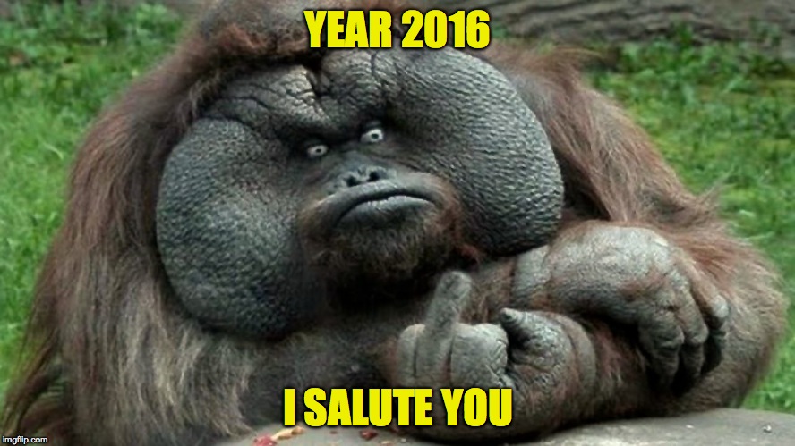 Good Riddance to 2016 | YEAR 2016; I SALUTE YOU | image tagged in exhale | made w/ Imgflip meme maker