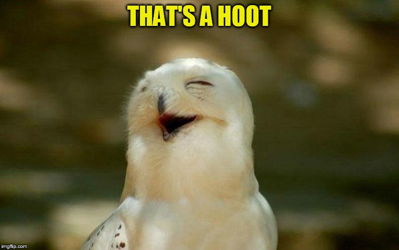 THAT'S A HOOT | made w/ Imgflip meme maker