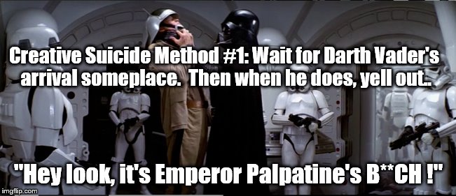 This will do it... | Creative Suicide Method #1: Wait for Darth Vader's arrival someplace.  Then when he does, yell out.. "Hey look, it's Emperor Palpatine's B**CH !" | image tagged in star wars | made w/ Imgflip meme maker