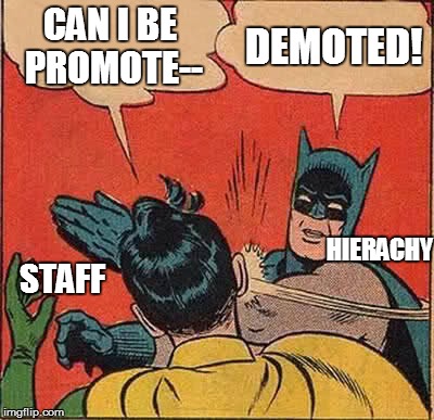 Batman Slapping Robin Meme | CAN I BE PROMOTE--; DEMOTED! HIERACHY; STAFF | image tagged in memes,batman slapping robin | made w/ Imgflip meme maker