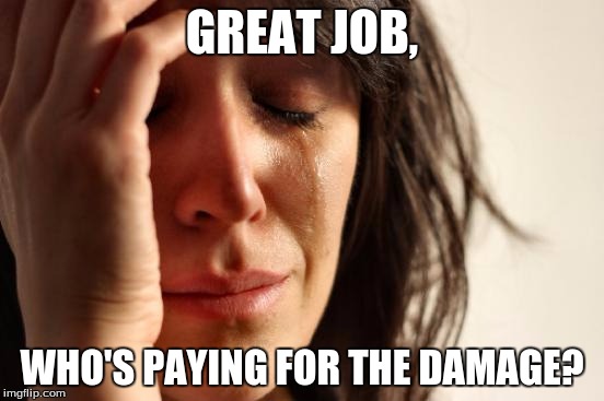 First World Problems Meme | GREAT JOB, WHO'S PAYING FOR THE DAMAGE? | image tagged in memes,first world problems | made w/ Imgflip meme maker