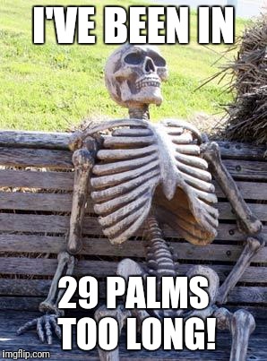 Waiting Skeleton Meme | I'VE BEEN IN 29 PALMS TOO LONG! | image tagged in memes,waiting skeleton | made w/ Imgflip meme maker