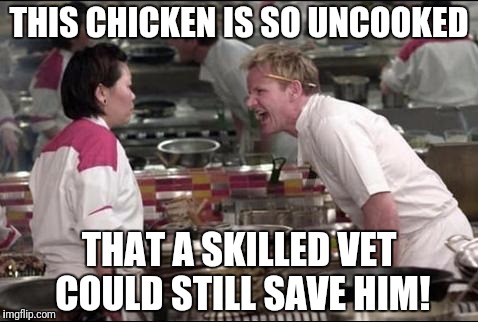 Angry Chef Gordon Ramsay Meme | THIS CHICKEN IS SO UNCOOKED; THAT A SKILLED VET COULD STILL SAVE HIM! | image tagged in memes,angry chef gordon ramsay | made w/ Imgflip meme maker