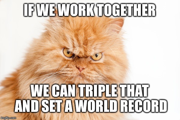 IF WE WORK TOGETHER WE CAN TRIPLE THAT AND SET A WORLD RECORD | made w/ Imgflip meme maker