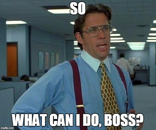 That Would Be Great Meme | SO; WHAT CAN I DO, BOSS? | image tagged in memes,that would be great | made w/ Imgflip meme maker