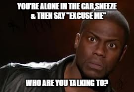 Kevin Hart Meme | YOU'RE ALONE IN THE CAR,SNEEZE  & THEN SAY "EXCUSE ME"; WHO ARE YOU TALKING TO? | image tagged in memes,kevin hart the hell | made w/ Imgflip meme maker