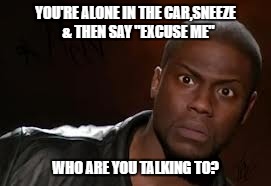 Kevin Hart | YOU'RE ALONE IN THE CAR,SNEEZE  & THEN SAY "EXCUSE ME"; WHO ARE YOU TALKING TO? | image tagged in memes,kevin hart the hell | made w/ Imgflip meme maker