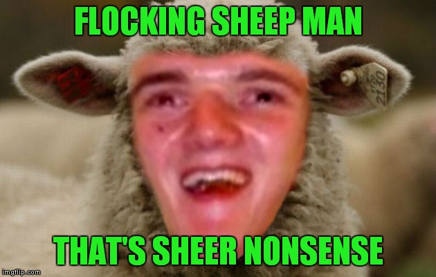 FLOCKING SHEEP MAN THAT'S SHEER NONSENSE | made w/ Imgflip meme maker
