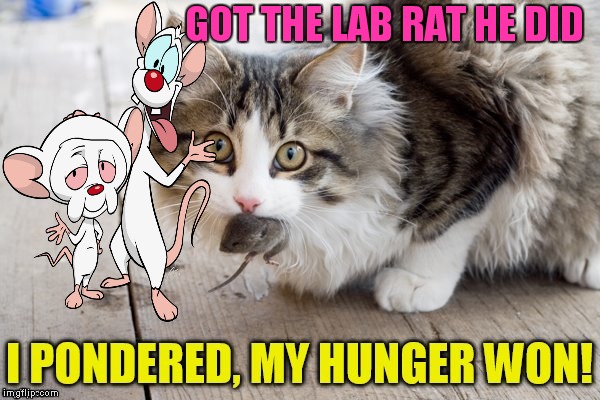 GOT THE LAB RAT HE DID | made w/ Imgflip meme maker