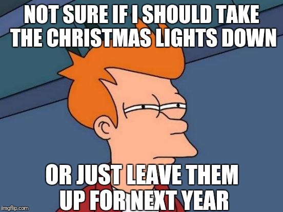 Futurama Fry | NOT SURE IF I SHOULD TAKE THE CHRISTMAS LIGHTS DOWN; OR JUST LEAVE THEM UP FOR NEXT YEAR | image tagged in memes,futurama fry | made w/ Imgflip meme maker