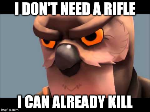 Owl sniper | I DON'T NEED A RIFLE; I CAN ALREADY KILL | image tagged in owl sniper | made w/ Imgflip meme maker