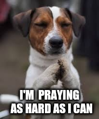 I'M  PRAYING  AS HARD AS I CAN | made w/ Imgflip meme maker